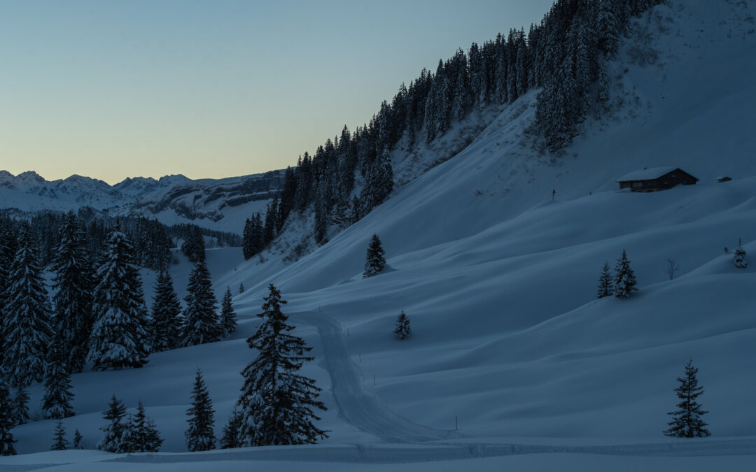 POW Bildungsaward 2024