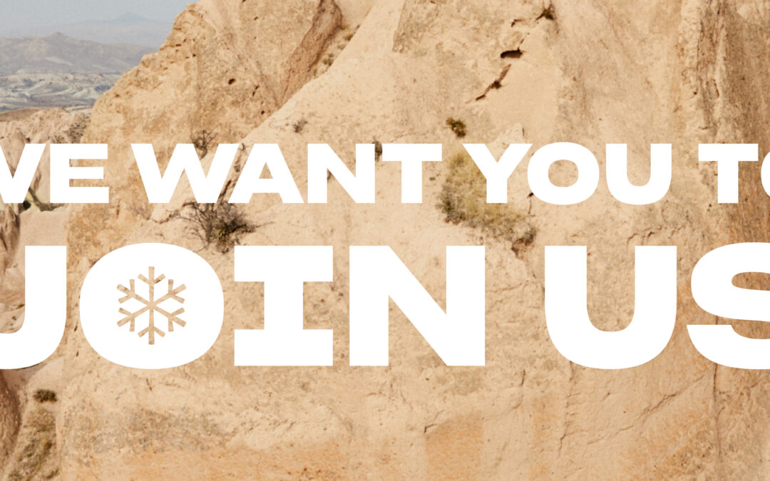 Alliance Manager:in (m/w/d)