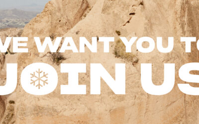 Alliance Manager:in (m/w/d)