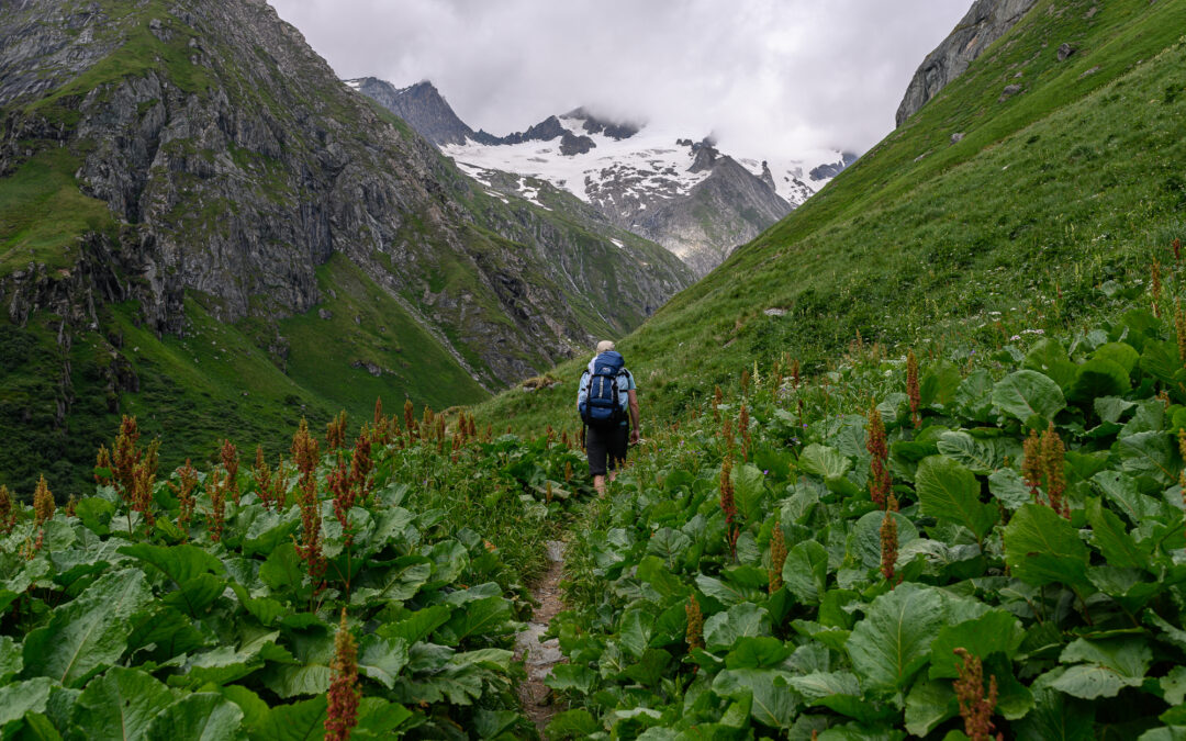 Den Bergsommer mit gutem Gewissen genießen – Tipps für eine respektvolle und naturverträgliche Zeit am Berg