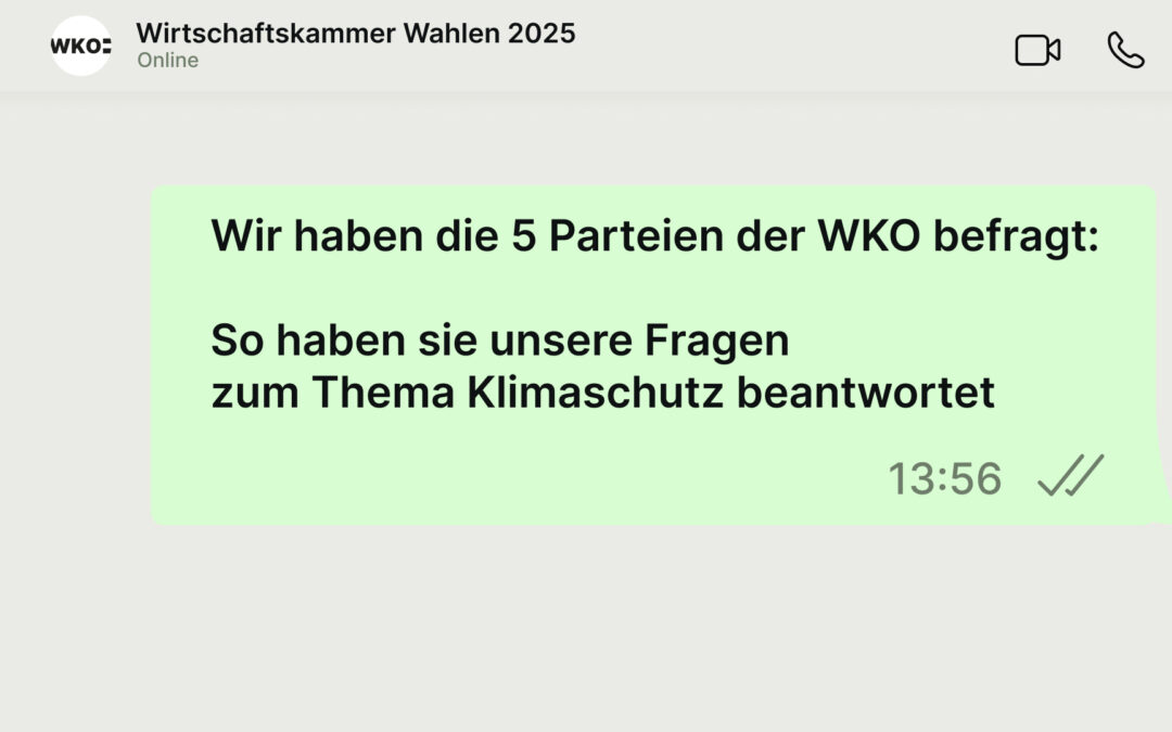 Unsere Fragen zu den WKO Wahlen 2025