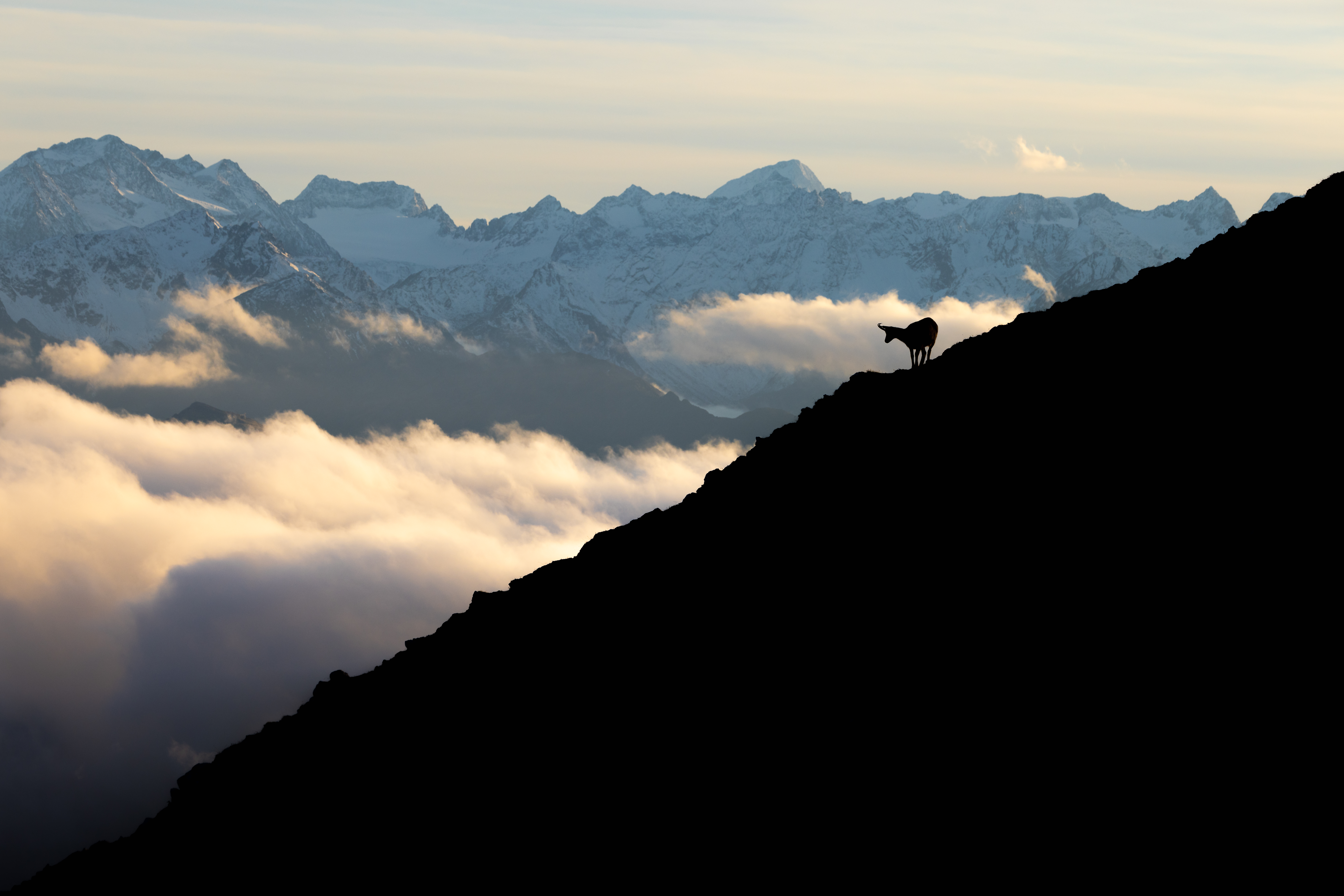 Bergwelt Tirol – Miteinander erleben