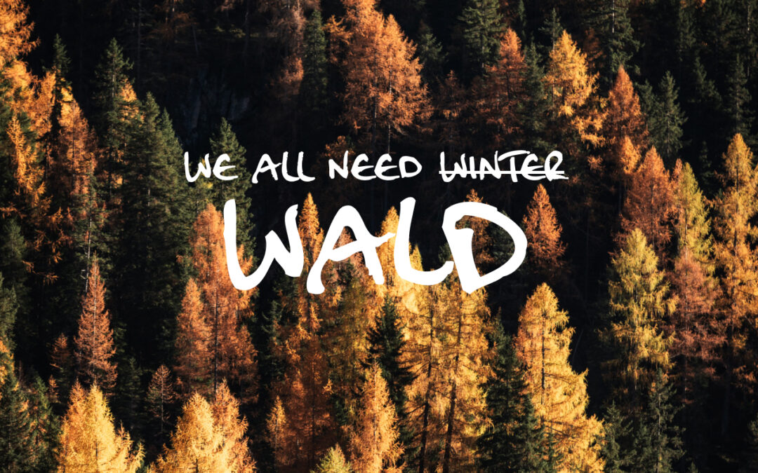 Warum brauchen wir eigentlich Wälder?